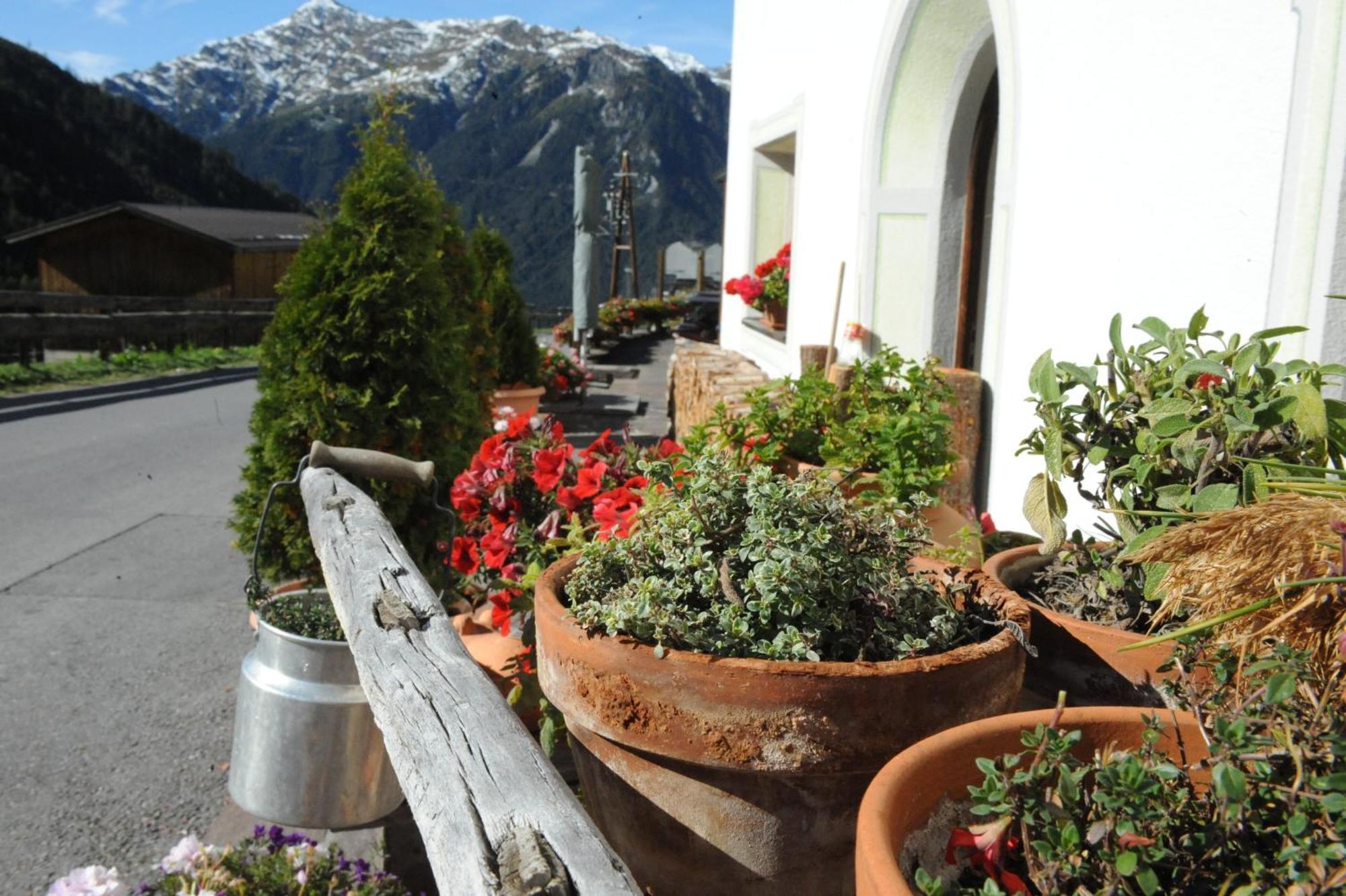 Naturhotel Berghof Hotel
